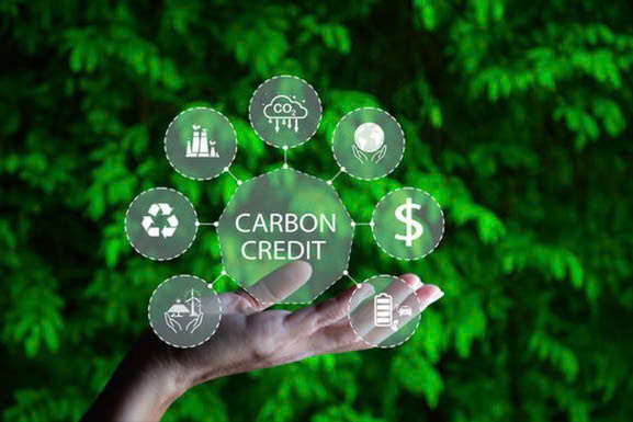 Sẽ có quy định quản lý hoạt động trao đổi tín chỉ carbon ra nước ngoài