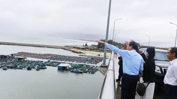 Tập đoàn năng lượng Đức nghiên cứu, muốn đầu tư làm dự án điện gió ngoài khơi 4,6 tỷ USD ở Bình Định